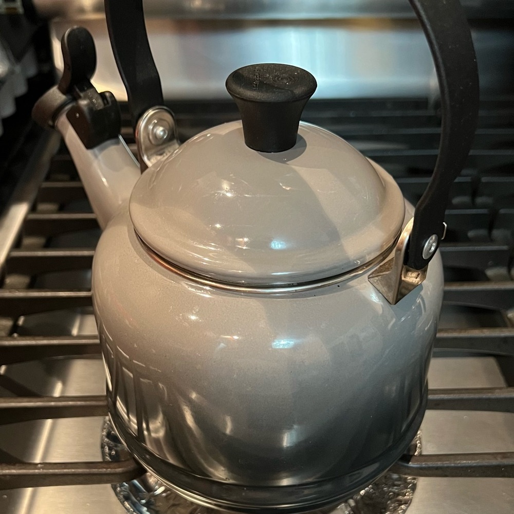 Demi 1.25 Q Tea kettle